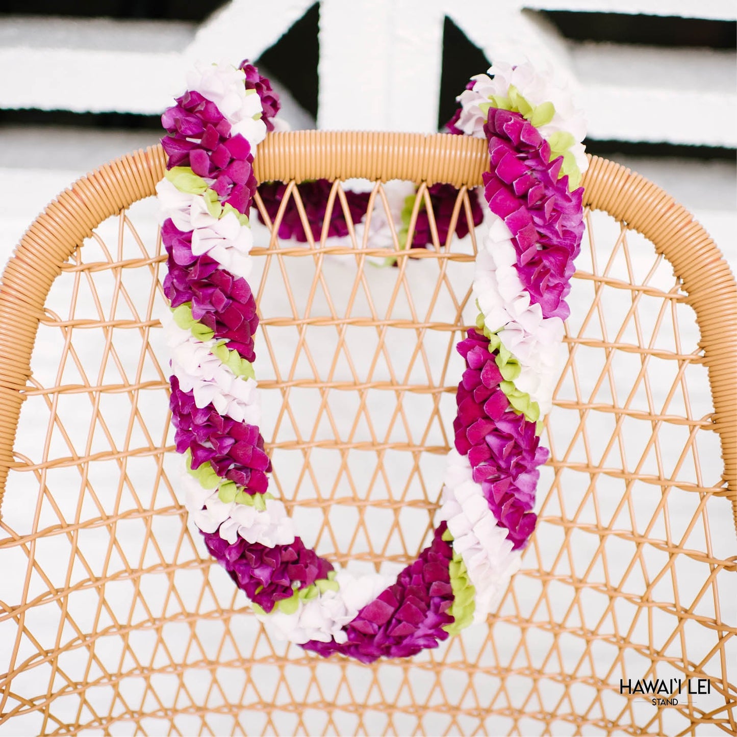 Spiral Orchid Lei (Multi-Color) (Color Varies)