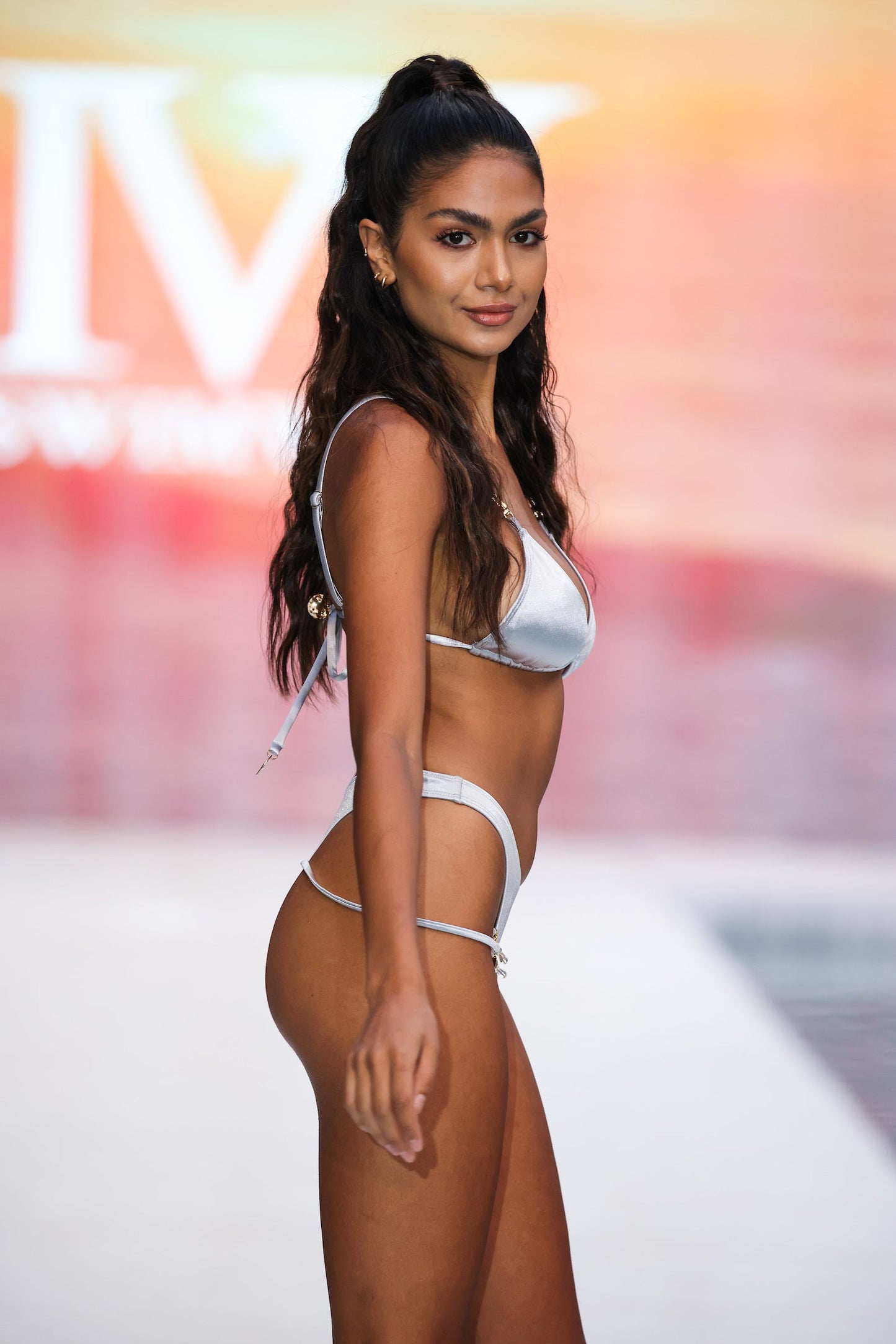 Artemisia in Silver Top