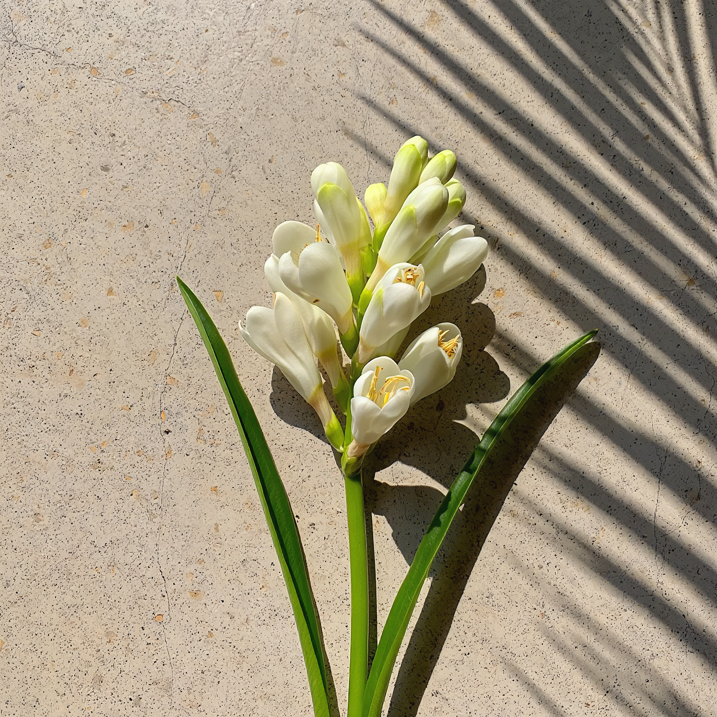 Kupaloke Tuberose Mist