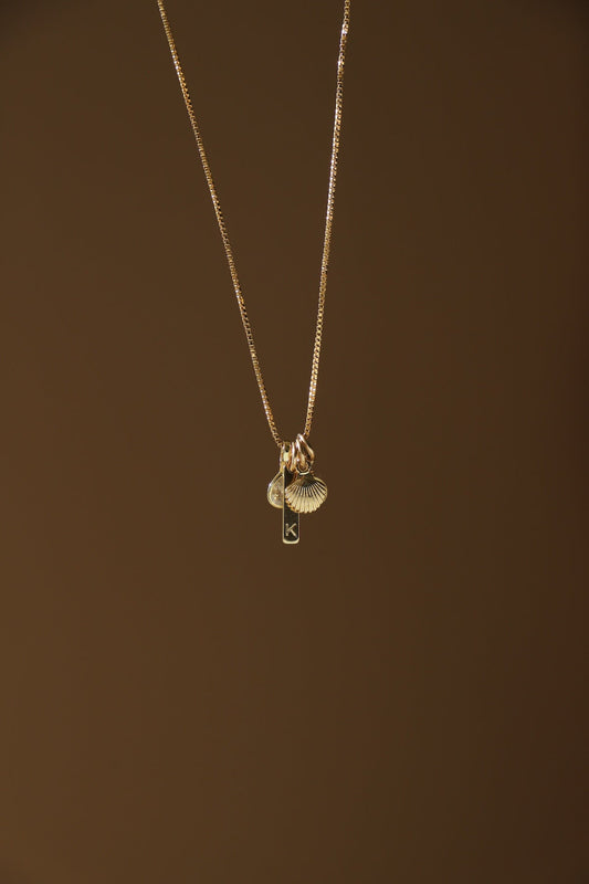 SHELL CHARM