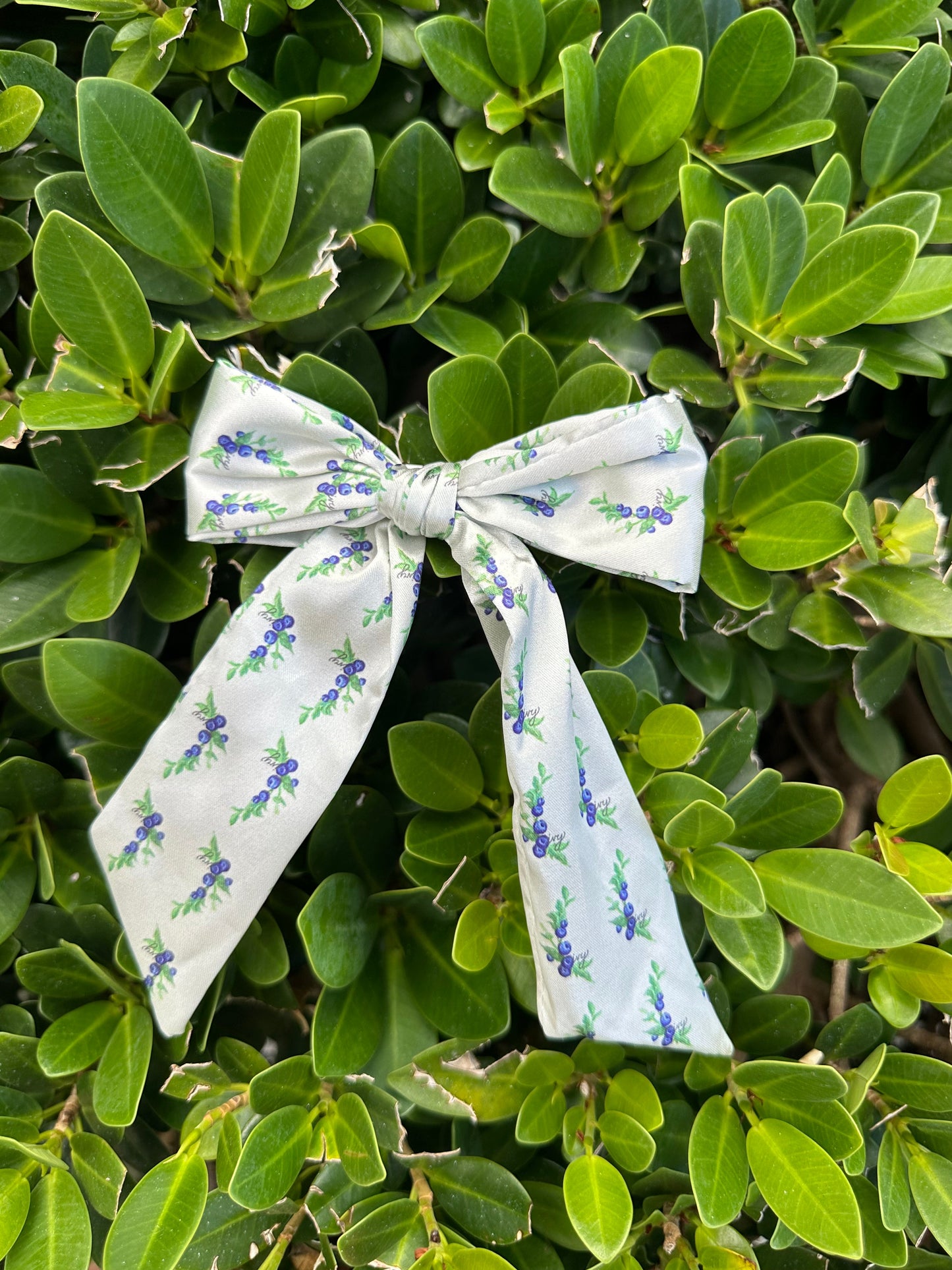 Blueberry Pie Bow