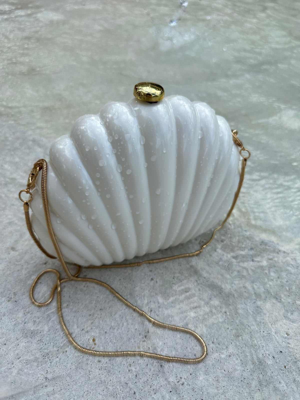 Seashell Purse in Clear