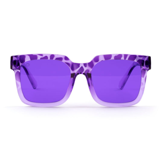 Indigo - Unit Sunglasses